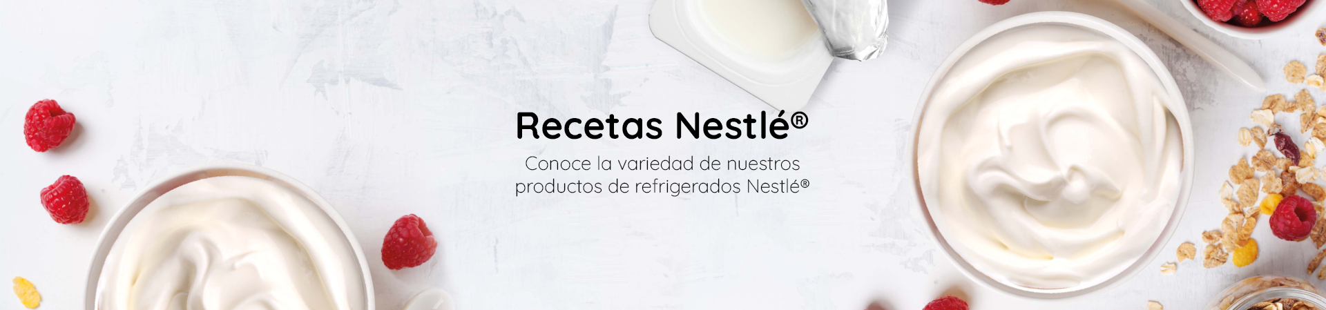 Banner Recetas Nestlé